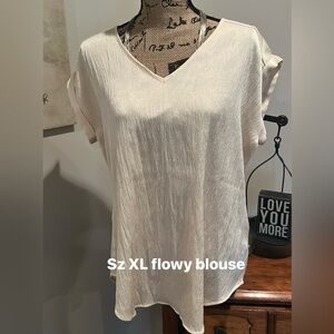 Elegant Cream V-Neck Blouse